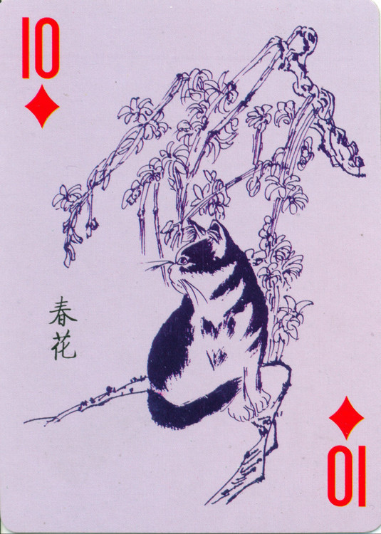 猫谱扑克欣赏,明星扑克牌欣赏