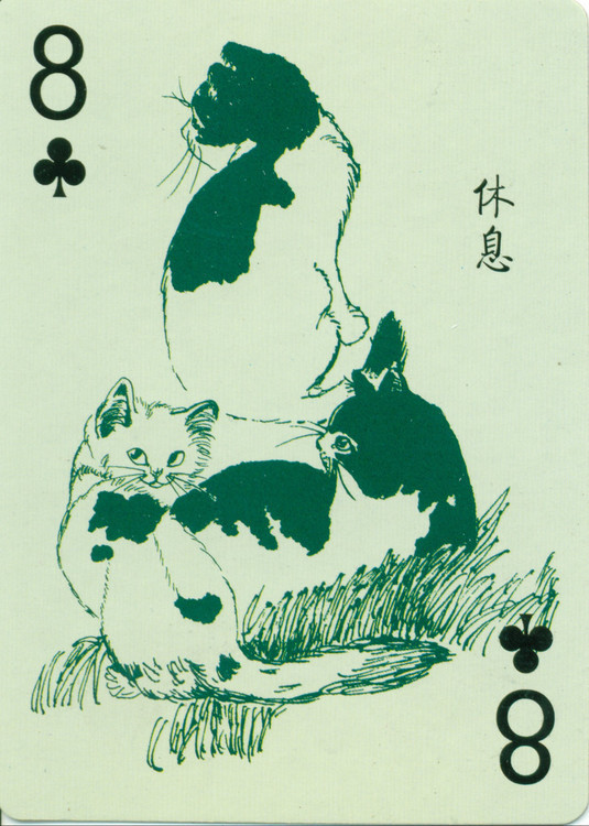 猫谱扑克欣赏,明星扑克牌欣赏