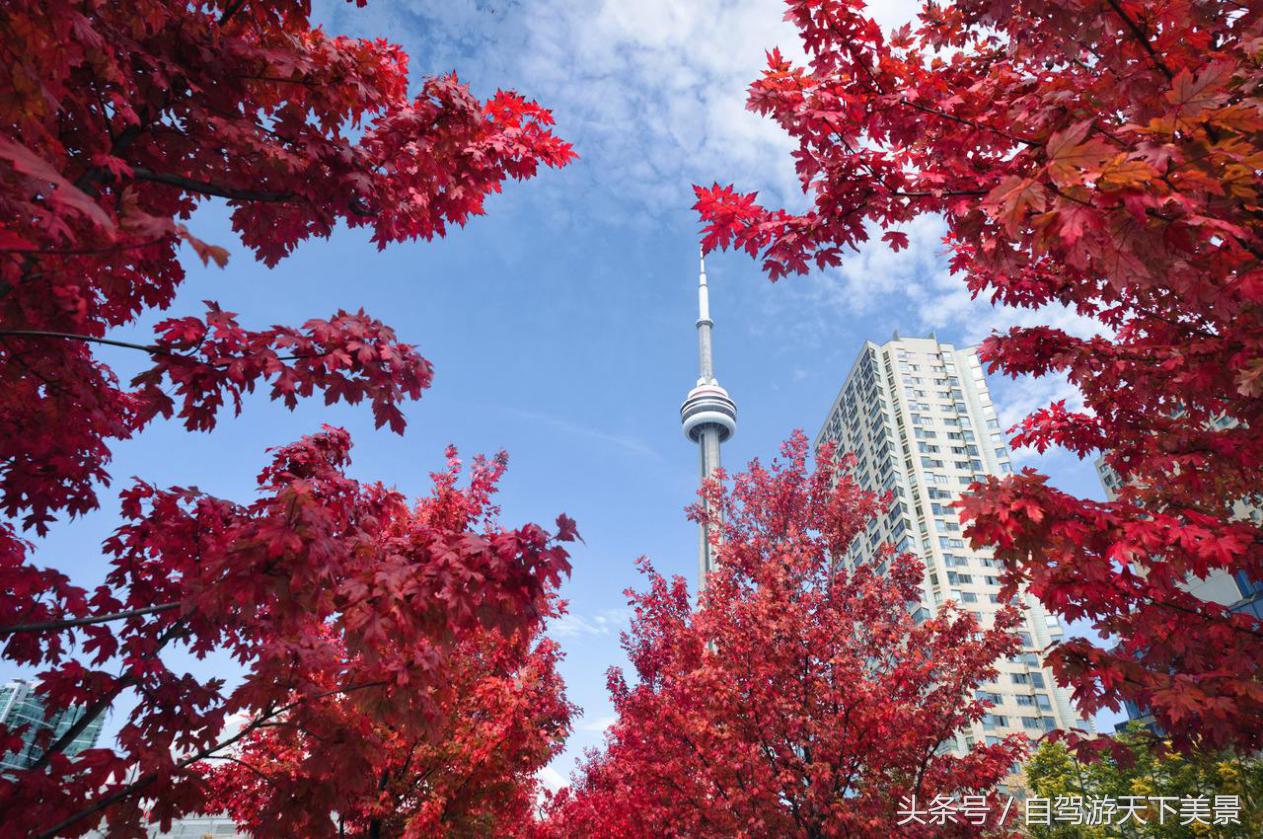100块钱在加拿大是多少钱,加拿大100元人民币能买到什么