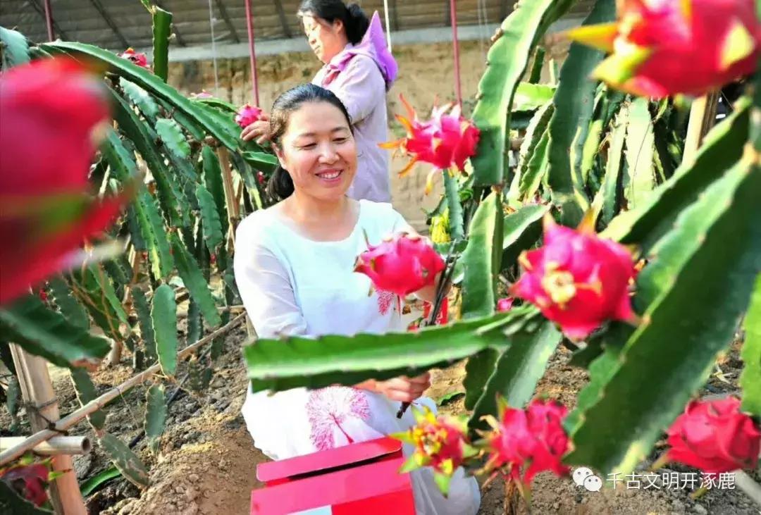 涿鹿发展,涿鹿县的发展