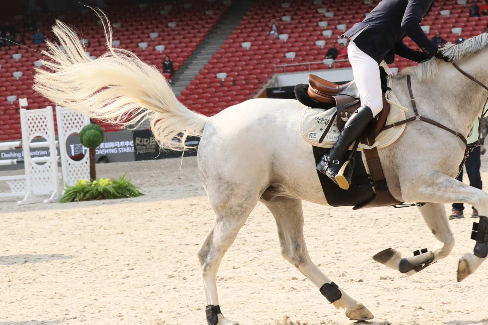 适马501001.8镜头评测,适马35mmf1.4dgdn评测