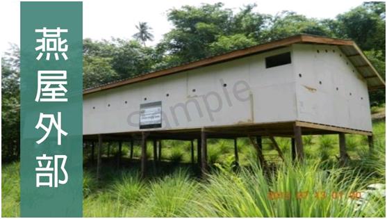 燕窝没有你想象中那样高不可攀,燕窝从古至今都备受欢迎的原因