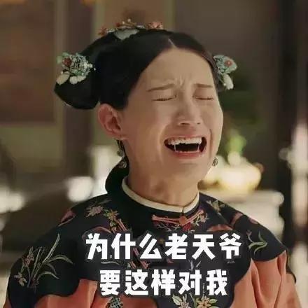 千万别看4D电影！哈哈哈哈哈哈哈哈哈哈哈哈哈哈哈哈哈哈