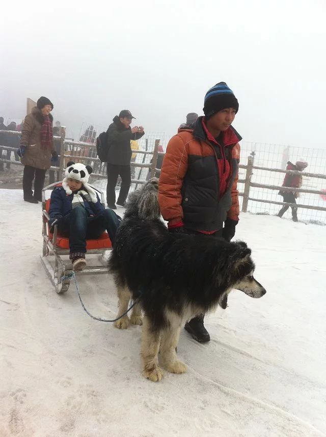成都花水湾旅游攻略一日游,花水湾西岭雪山二日游