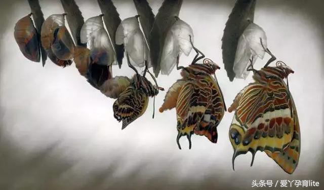 孕妇无痛分娩的故事,无痛分娩快乐孕育