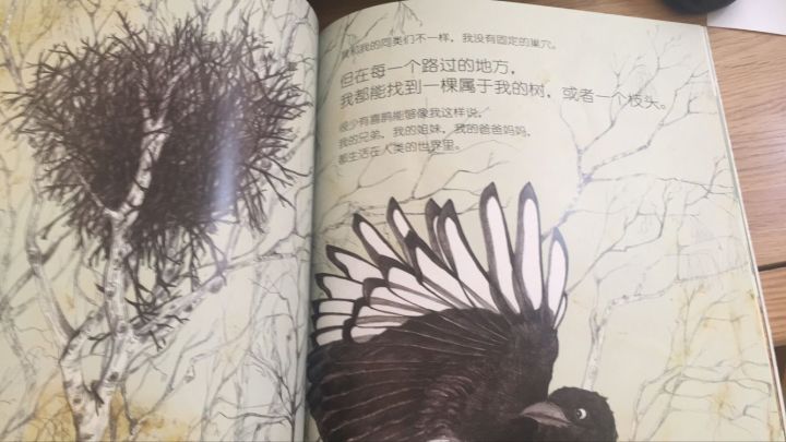 绘本启蒙读物推荐,适合34岁孩子阅读的8本绘本推荐