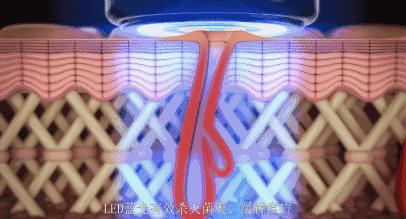 职场小白会如何被欺负,从被欺负的大学生到老总