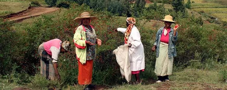 有了全世界3秒卖一瓶的“液体黄金“，干燥、长痘就与你无缘了！