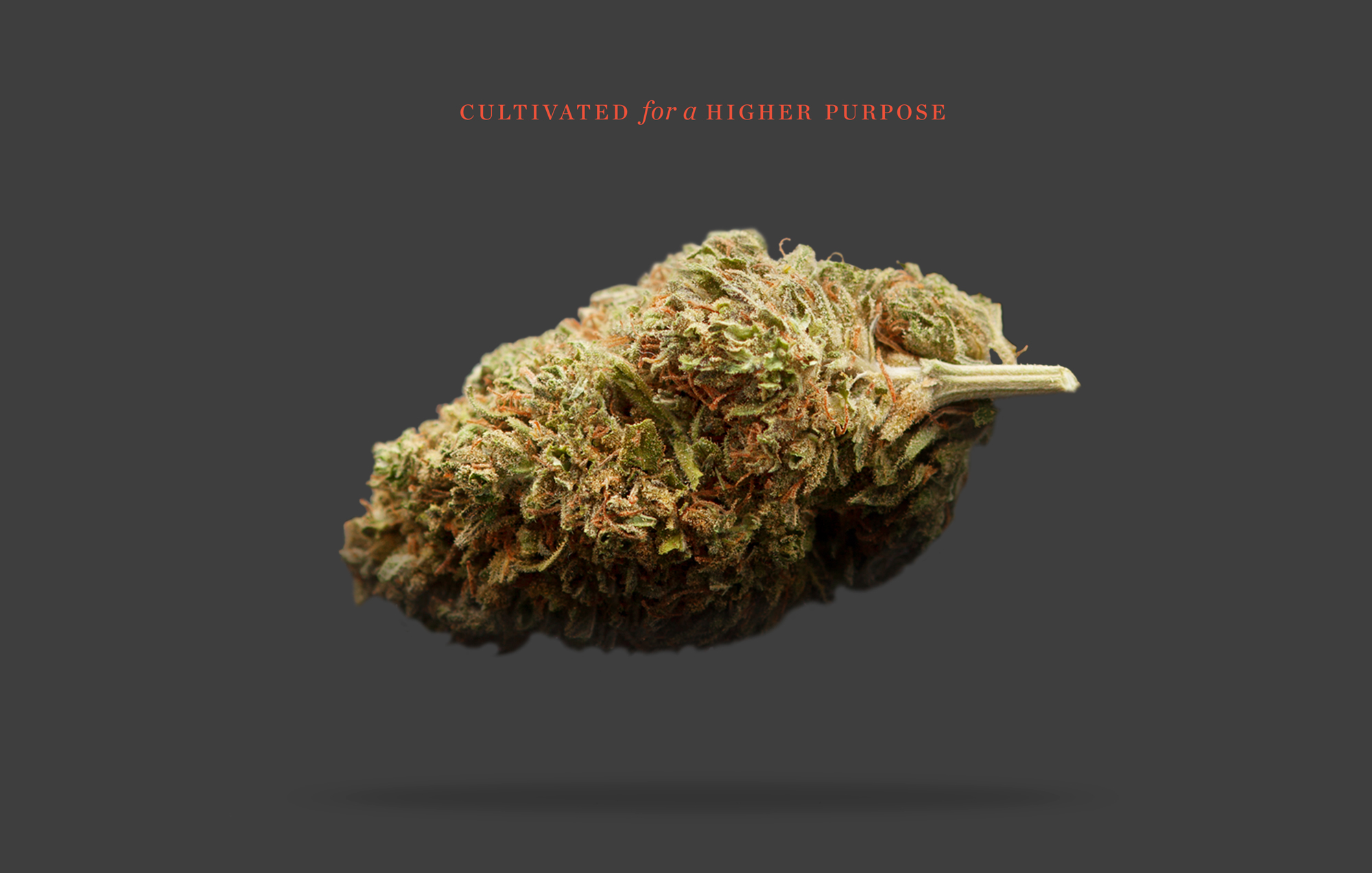 各大品牌简约包装设计,简约产品外观设计