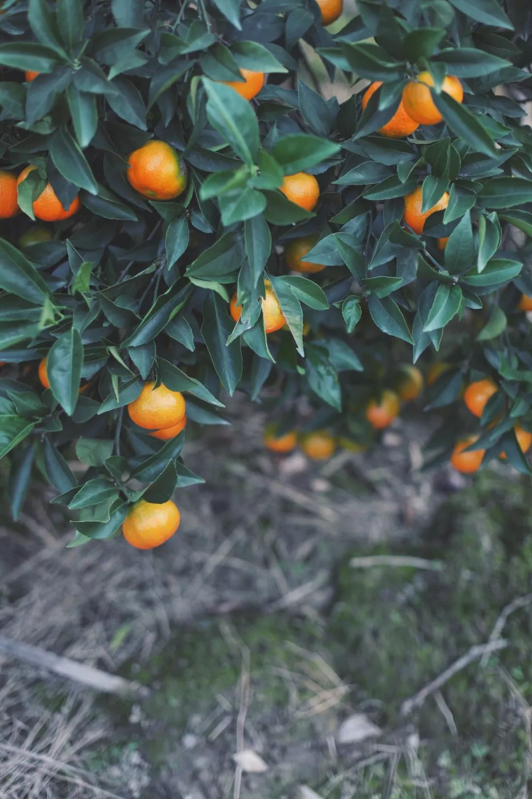 没有人来人往的城市,没有人山人海的地方
