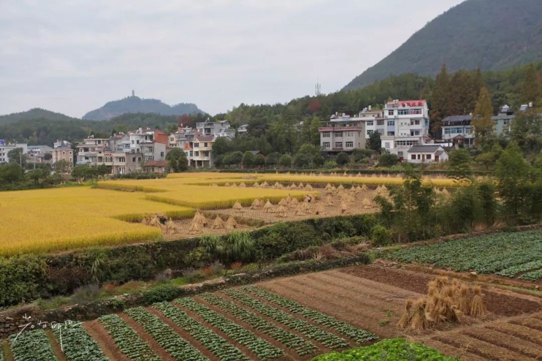 没有人来人往的城市,没有人山人海的地方