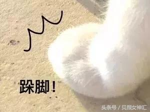 测评十几元的精油,如何买到靠谱的精油