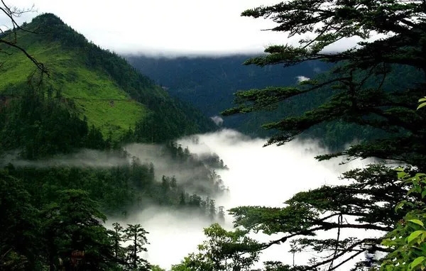 百慕大黑竹沟未解之谜,指南针失效