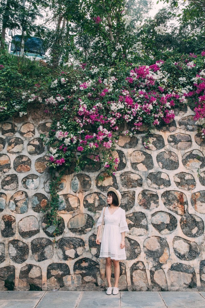 带你到三亚感受不一样的美食美景,三亚旅游必吃的美食清单大全