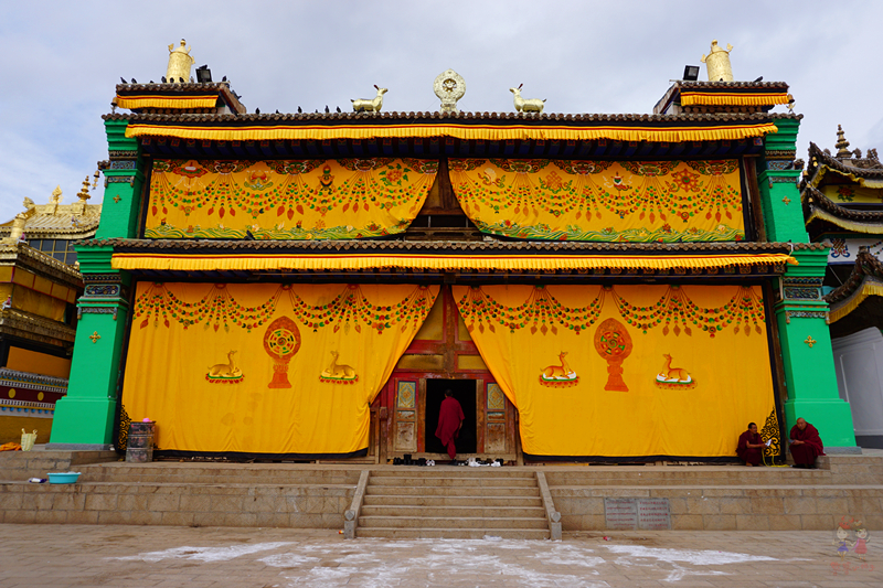 为什么藏人都说喇嘛最聪明?探秘青藏高原寺中的灵魂密码师