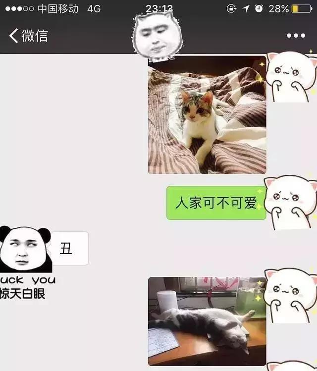 男朋友把猫打了一顿扔出去了,男朋友打我养的猫怎么办