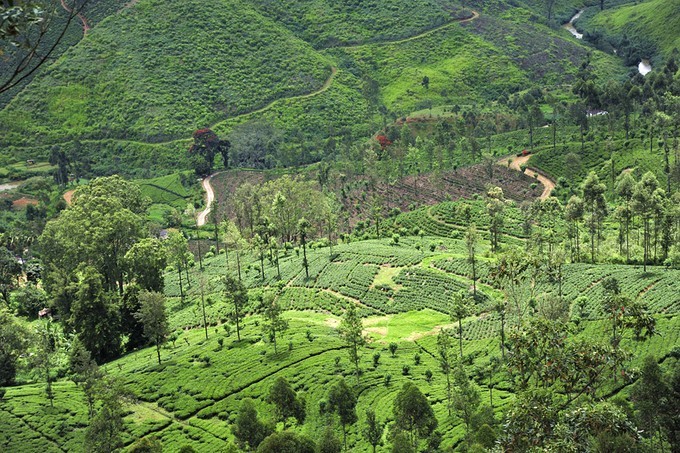 人文摄影斯里兰卡,锡兰风景