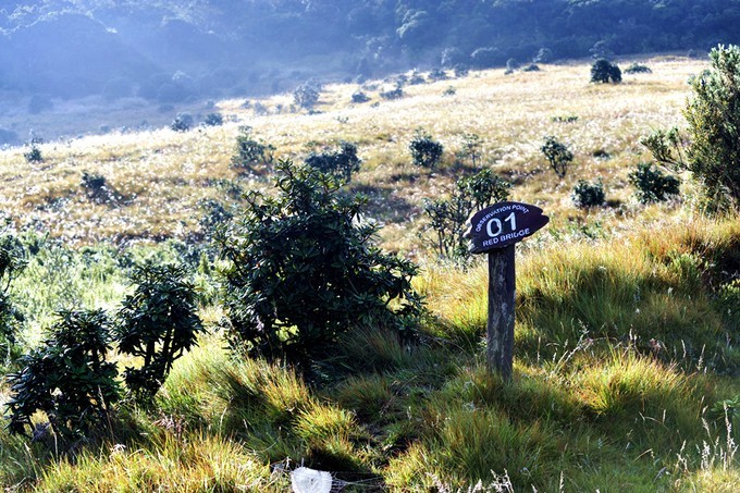 人文摄影斯里兰卡,锡兰风景