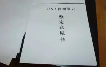 有多少男人偷偷给孩子做亲子鉴定,有多少男人偷偷带孩子做亲子鉴定