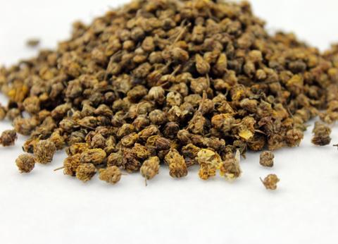 菊花与野菊花的区别是什么,菊花和野菊花的主要区别