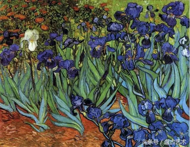 致梵高完整视频,致梵高简介