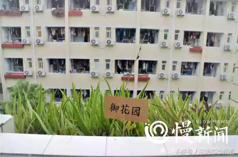 大学生宿舍下铺装扮,大学生宿舍装扮环保