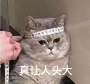 千万别看4D电影！你们会后悔的！哈哈哈哈哈哈哈哈哈哈哈哈