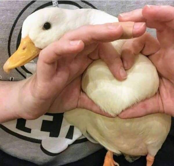 冷门好用国货口红推荐一下,冷门口红推荐国货