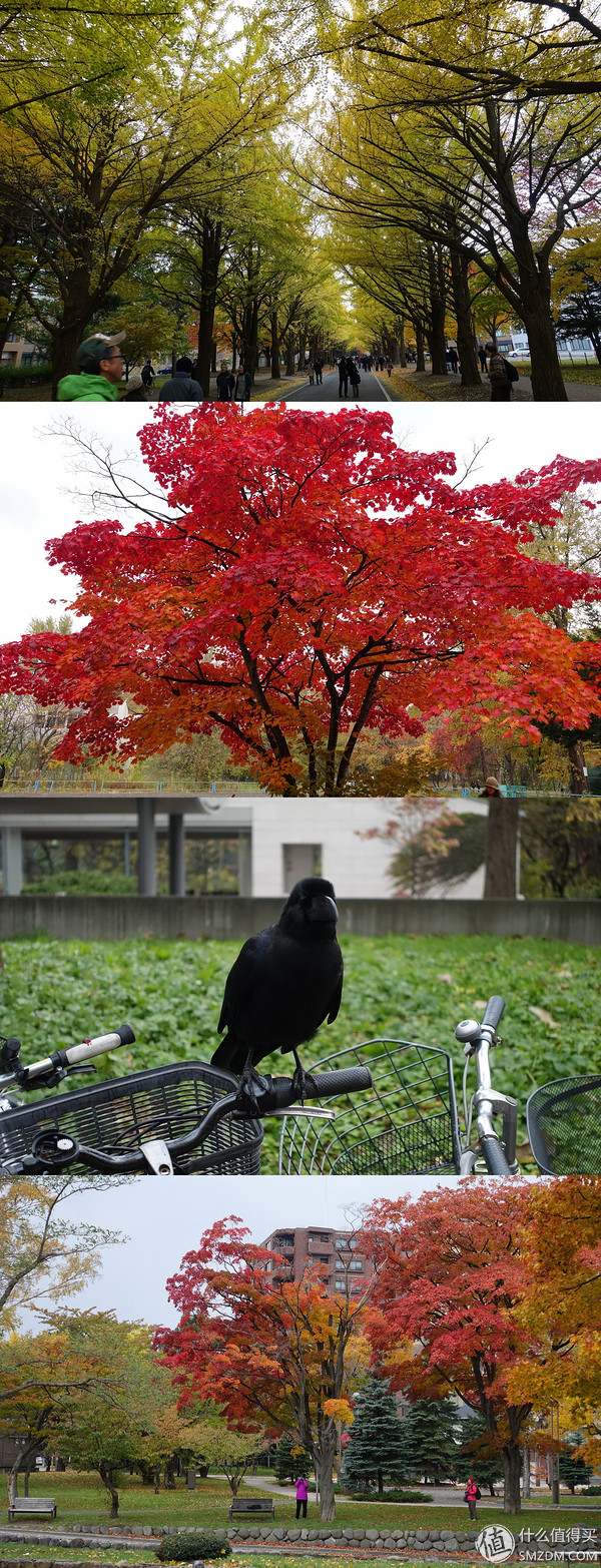日本旅游签证流水账单,日本旅游要看账户流水不