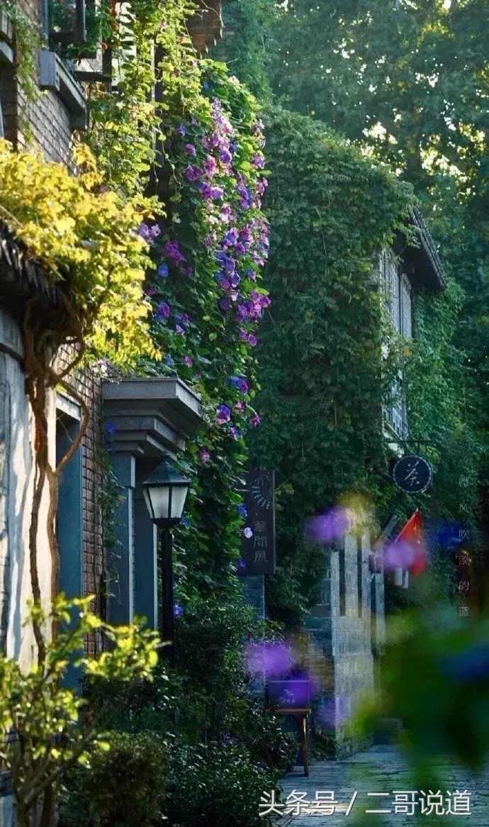 来南京一定要逛逛老门东风景区,南京老门东和老东门