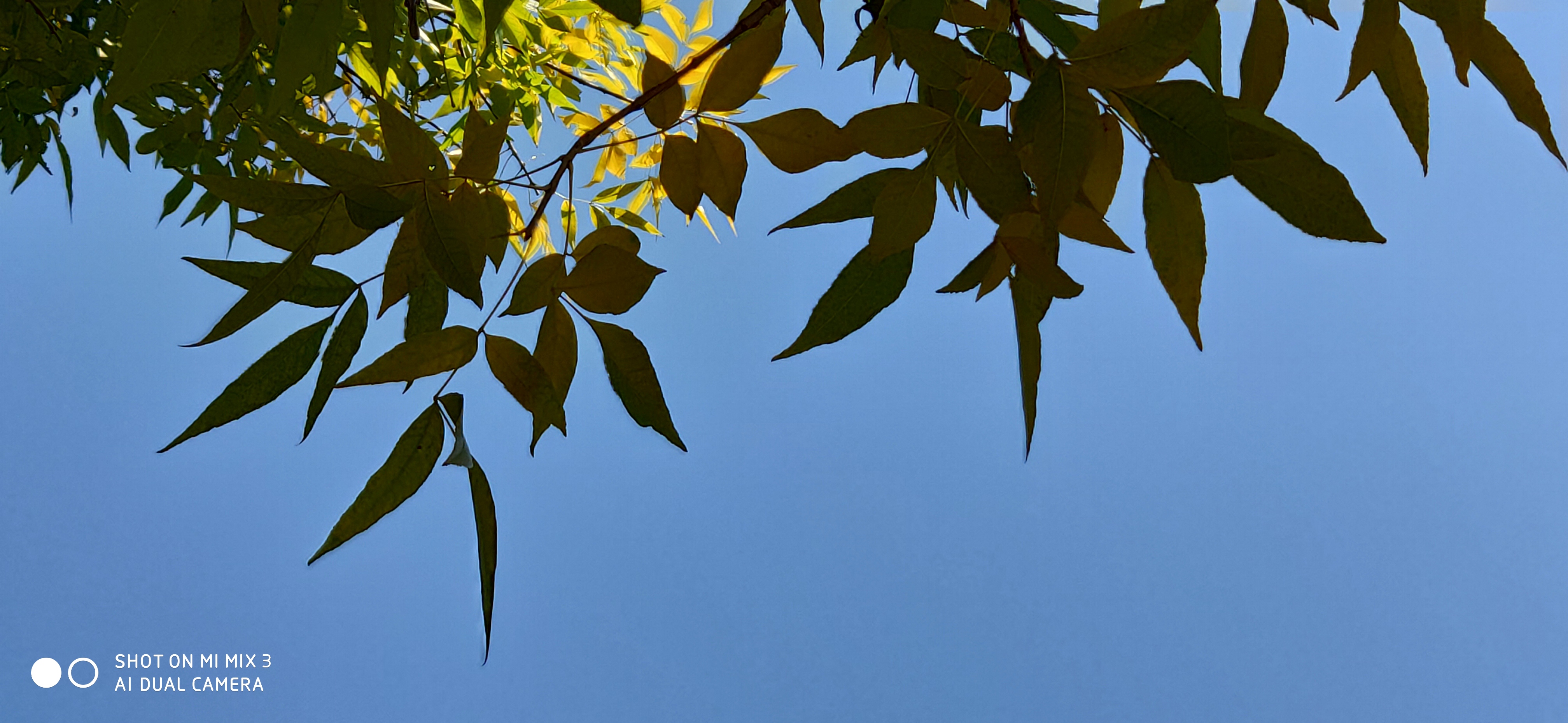 小米mix3磁滑盖,小米mix3滑屏测评