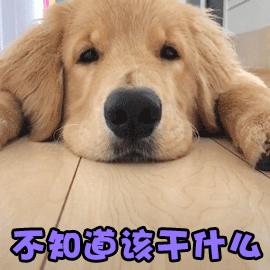 福州好逛的地方,福州东街口大洋花巷集市