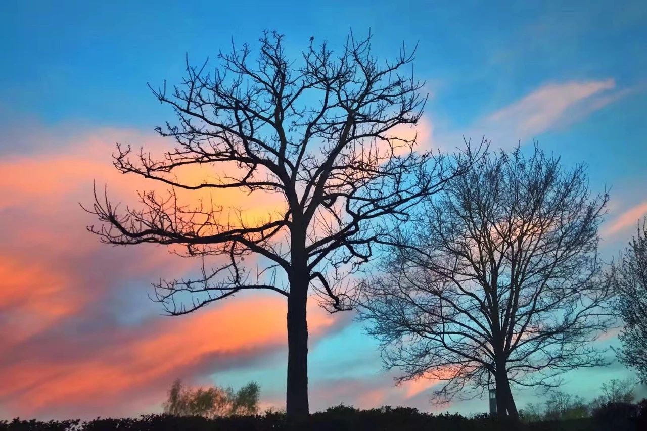 月亮落七宫,月亮落七宫代表什么