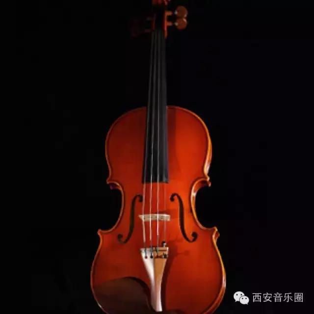 三招教你辨别靠谱小提琴,小提琴如何鉴别是不是木头
