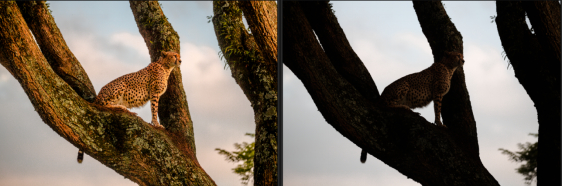 去非洲旅行，如何寻找拍摄题材？