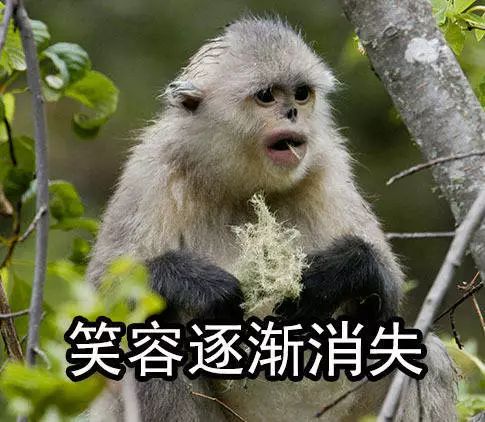 科学家玻尔有多厉害,物理学家玻尔与爱因斯坦