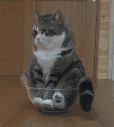 牙齿涂口红的小窍门,牙齿越来越黄涂口红不好看怎么办