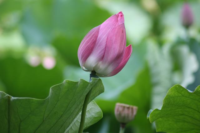 领导对下属不上心怎么办,遇到工作不努力的下属怎么办