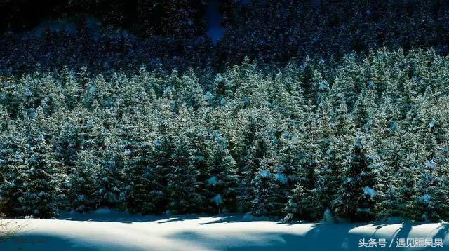 伊犁最美旅游风景区,伊犁旅游攻略探索最美风光