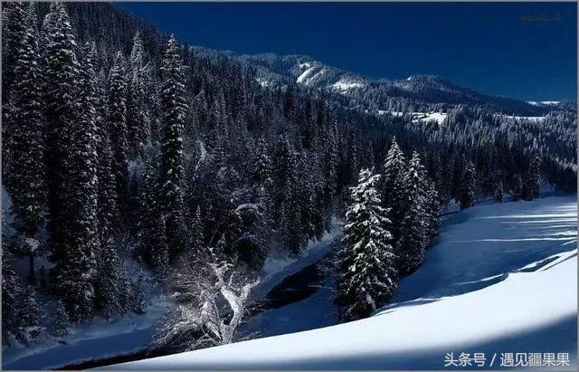 伊犁最美旅游风景区,伊犁旅游攻略探索最美风光