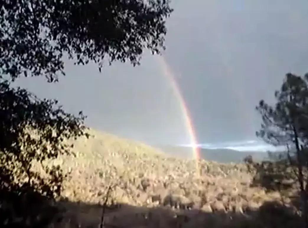 低智视频刷屏朋友圈：娱乐正在杀死第一批00后