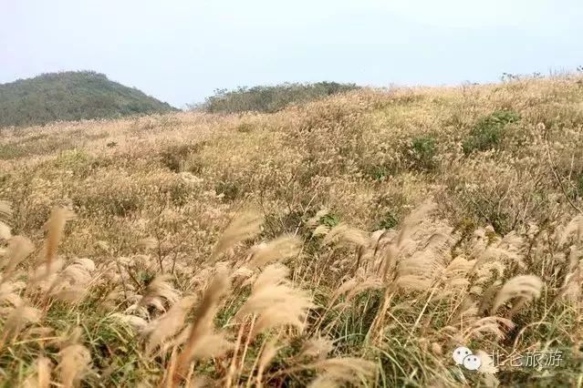 北仑十大爬山景点,北仑免费爬的山有哪些景区