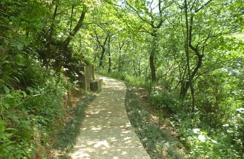 北仑适合夏天爬的山,北仑冬季爬山的地方有哪些