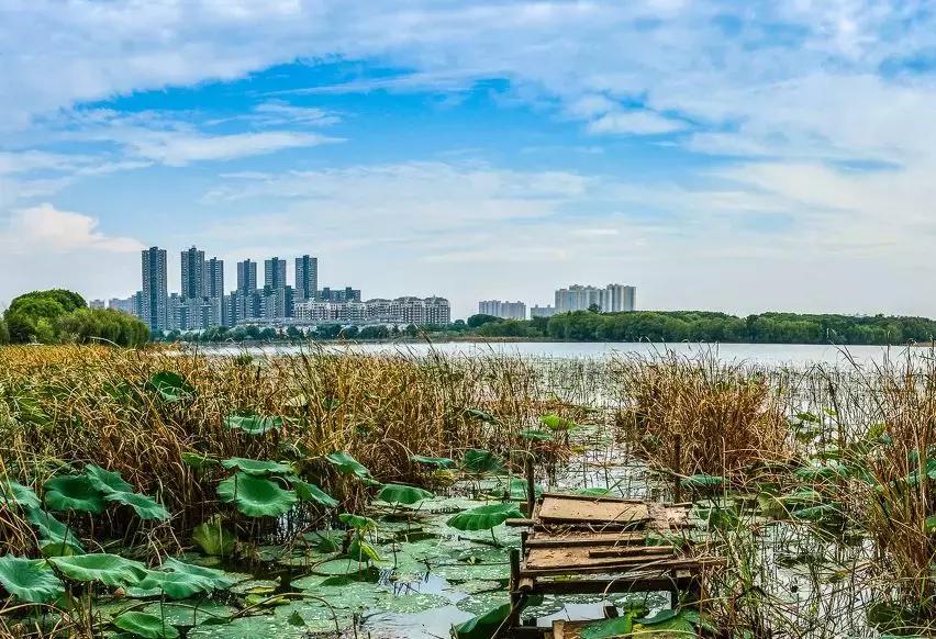 武汉市未来重大规划,武汉目前有什么计划