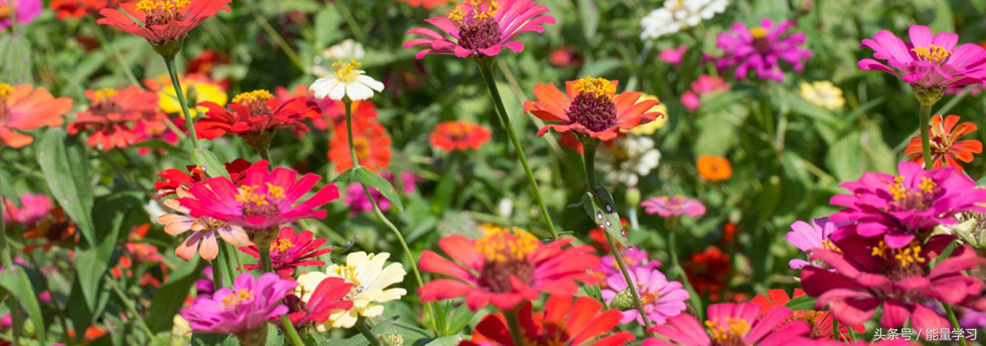 文言文古今异义词大全高中,初中文言文古今异义词归纳人教版