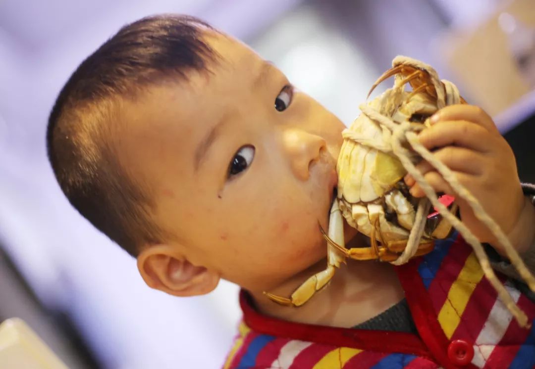 品尝清蒸大闸蟹公蟹和母蟹,清蒸大闸蟹前蟹需要处理吗