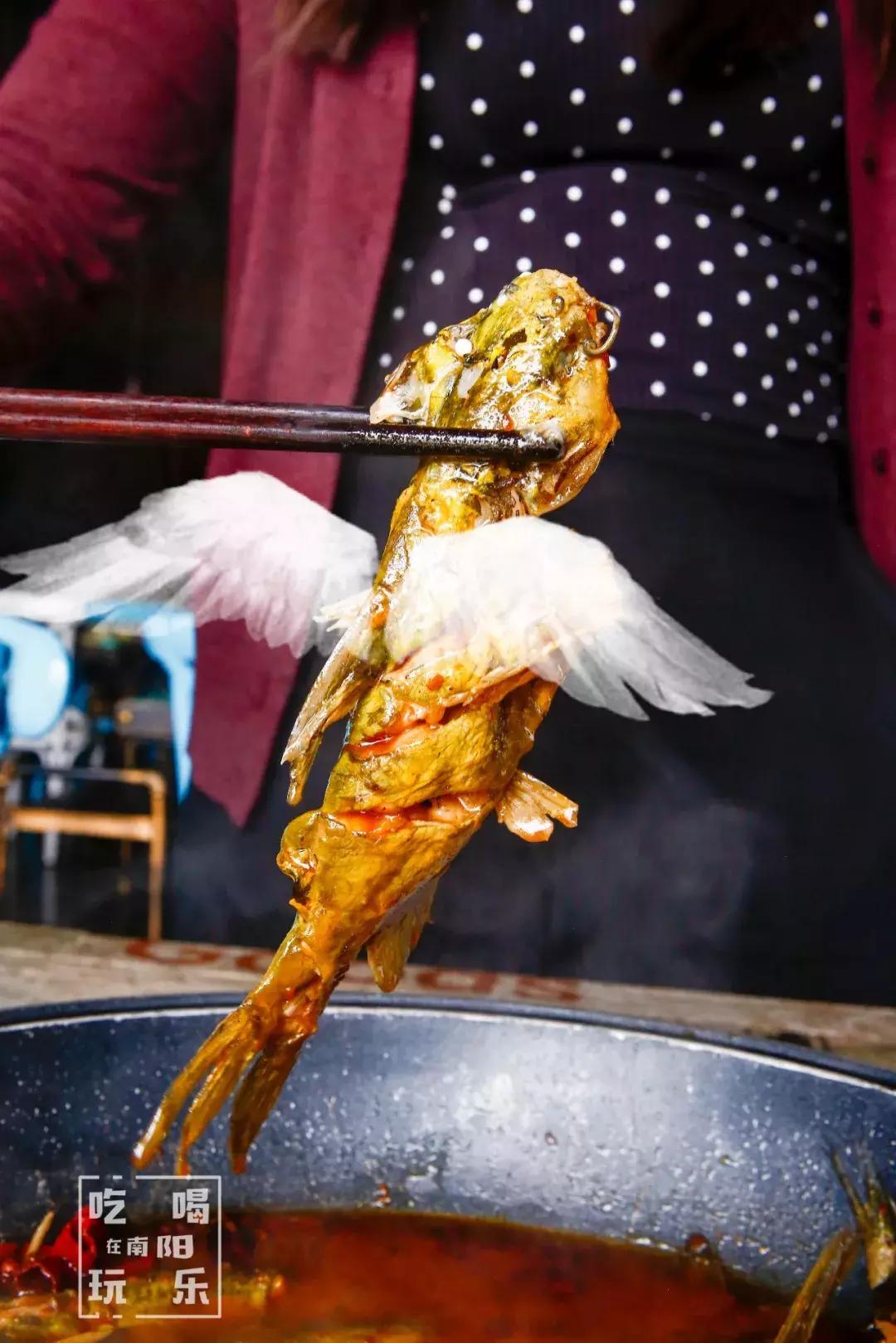 爆！光武路这家店用活鱼下锅！一口鲜到爆炸！吃完简直要犯罪！