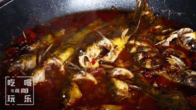 爆！光武路这家店用活鱼下锅！一口鲜到爆炸！吃完简直要犯罪！