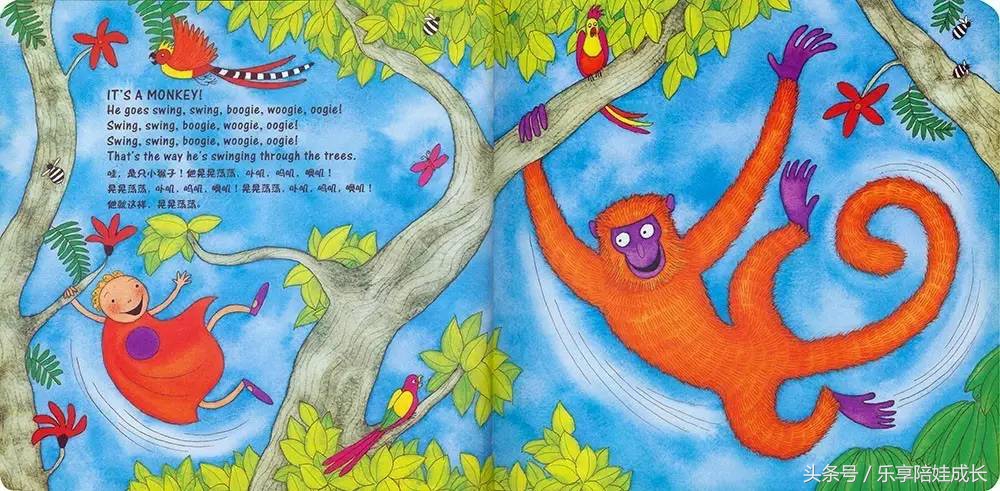 animalboogie绘本,thebook绘本磨耳朵