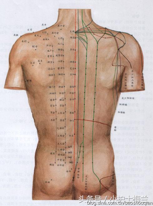 任督二脉功法图,真气打通任督二脉图解